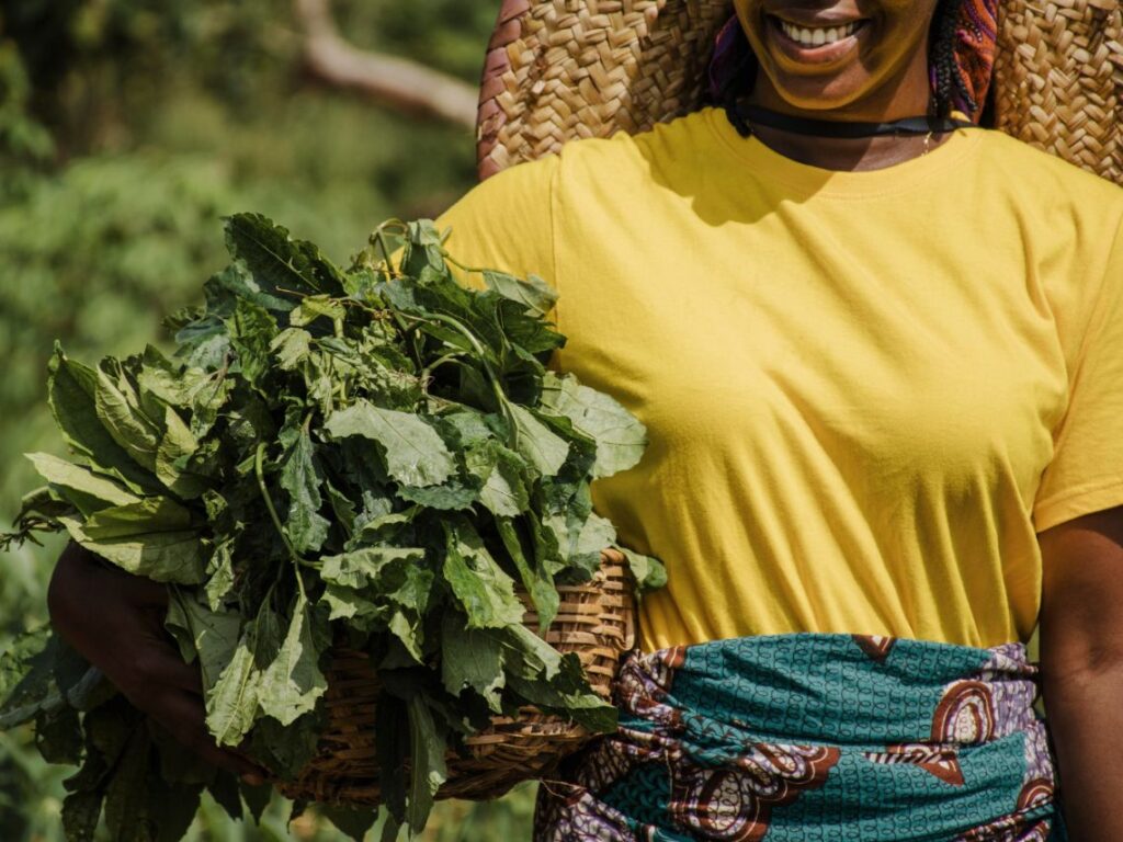 Climate Action & Agriculture