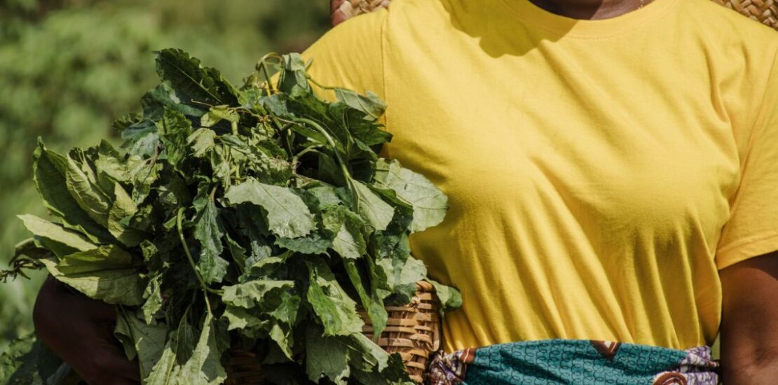 Climate Action & Agriculture