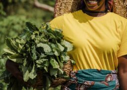 Climate Action & Agriculture