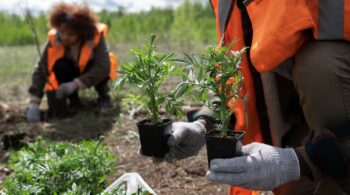 Untitled design (10)