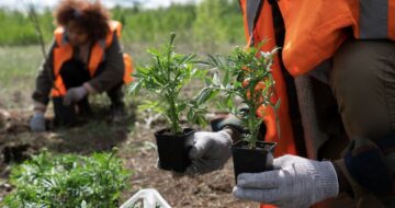 Untitled design (10)