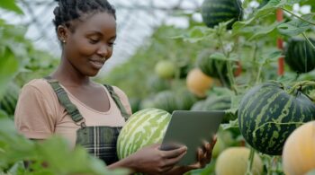 Untitled design (11)