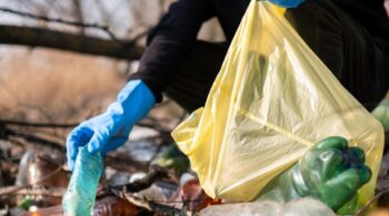 Untitled design (16)