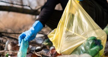 Untitled design (16)