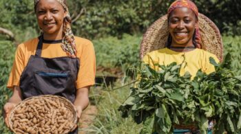 Untitled design (18)