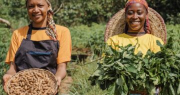 Untitled design (18)